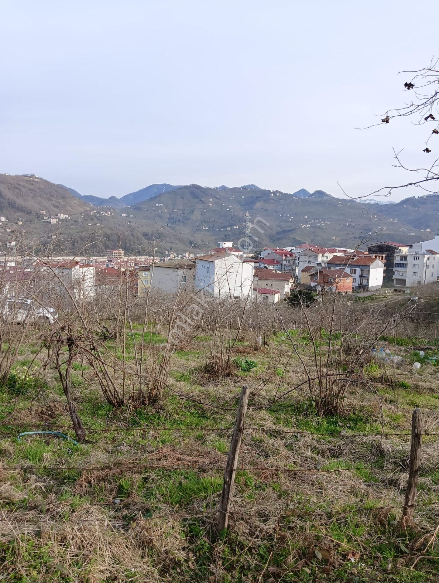  WİSREMDEN GİRESUN  AKSU DA FIRSAT İMARLI ARSA!    