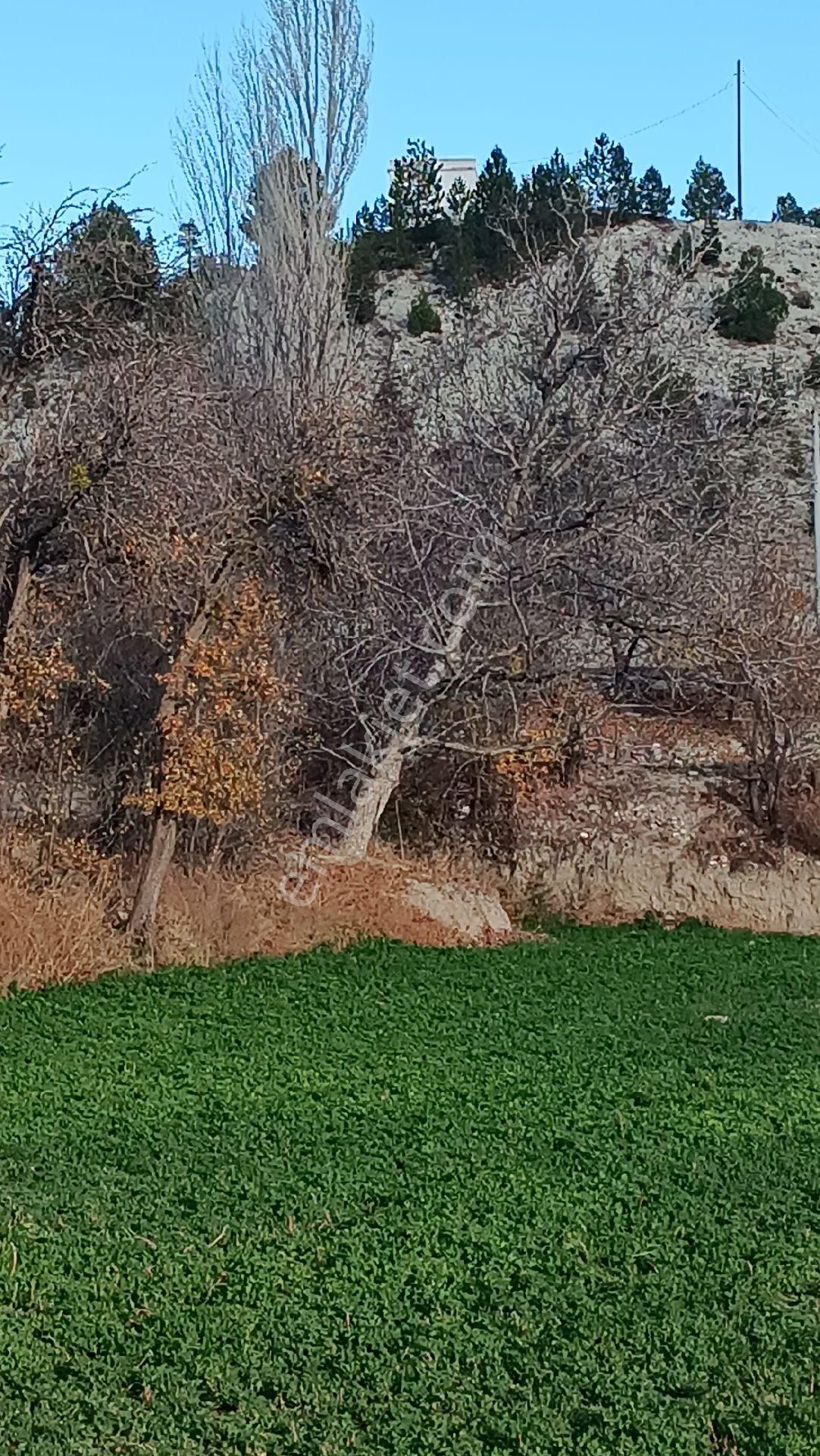 WİSREM BURDUR'DAN ELMACIK KÖYÜNDE SATILIK KÖY İÇİ BAHÇE 