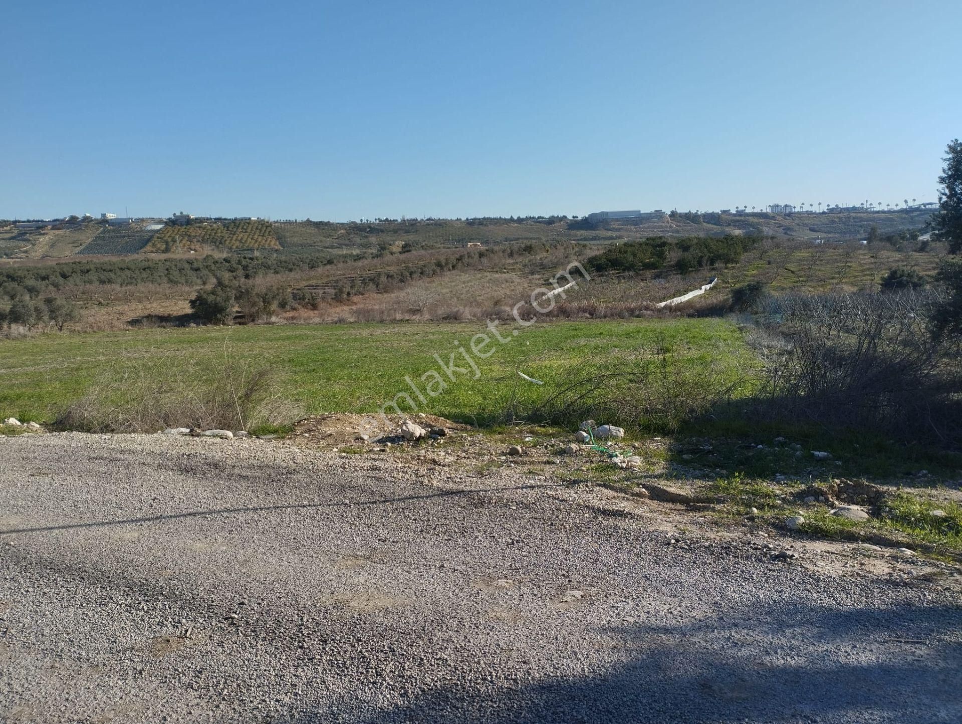  WİSREM'DEN TOROSLAR ÇİVİÇUKURUNDA YATIRIMLIK ARSA