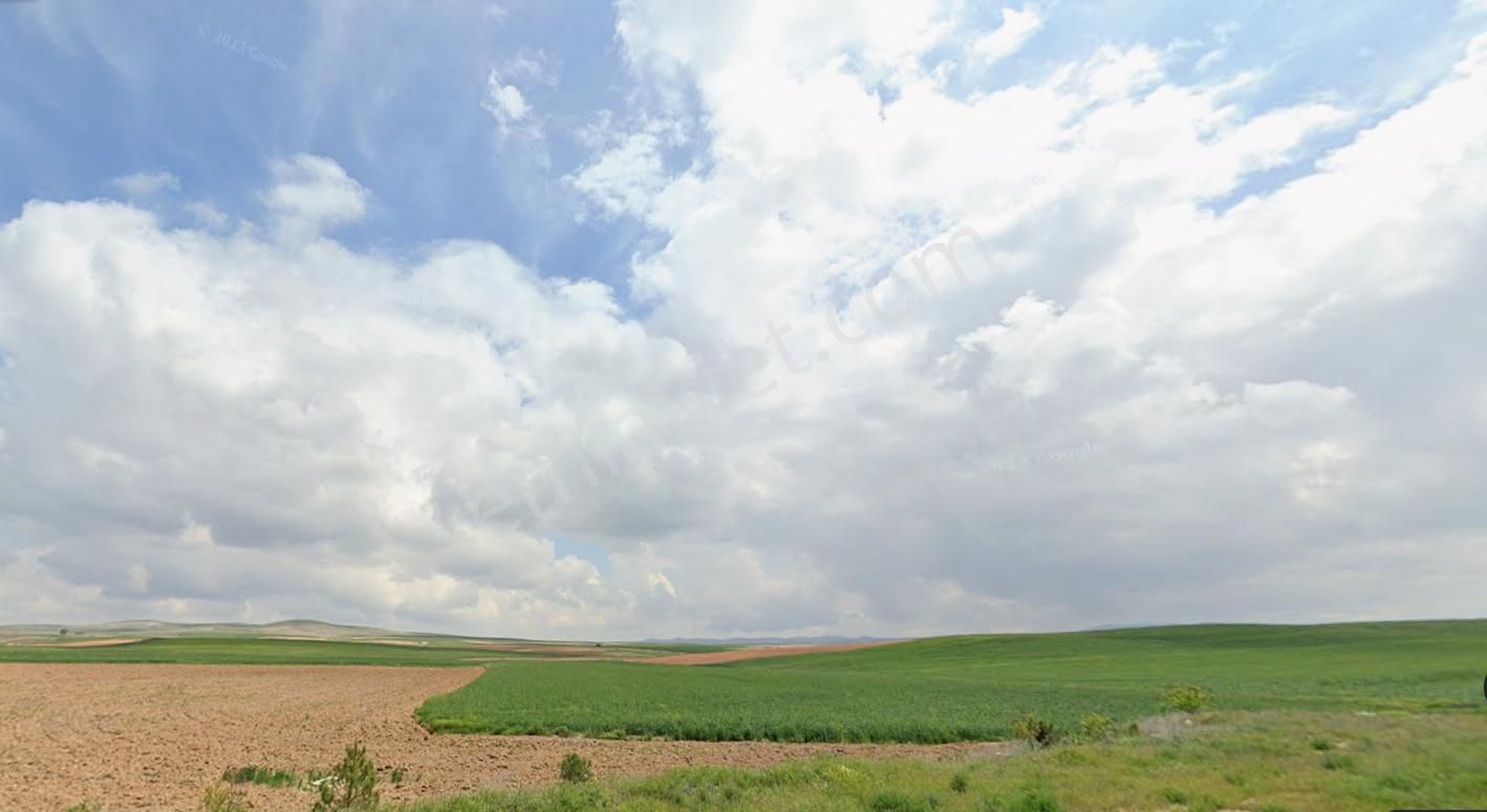 ESKİŞEHİR SİVRİHİSAR KAYMAZ’DA YOLA CEPHELİ 30.100 M² SATILIK TARLA