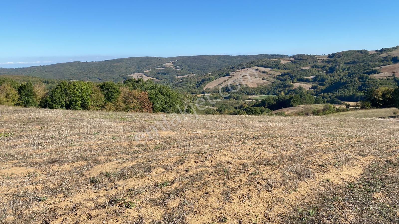  KANDIRA OSB YE YAKIN KUPON TARLA