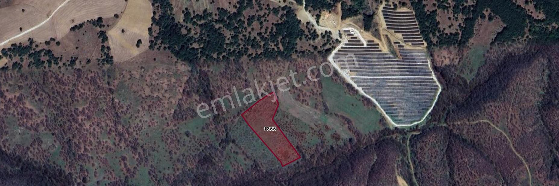  SÖĞÜT KEPEN KÖYÜNCE FIRSAT TARLA 