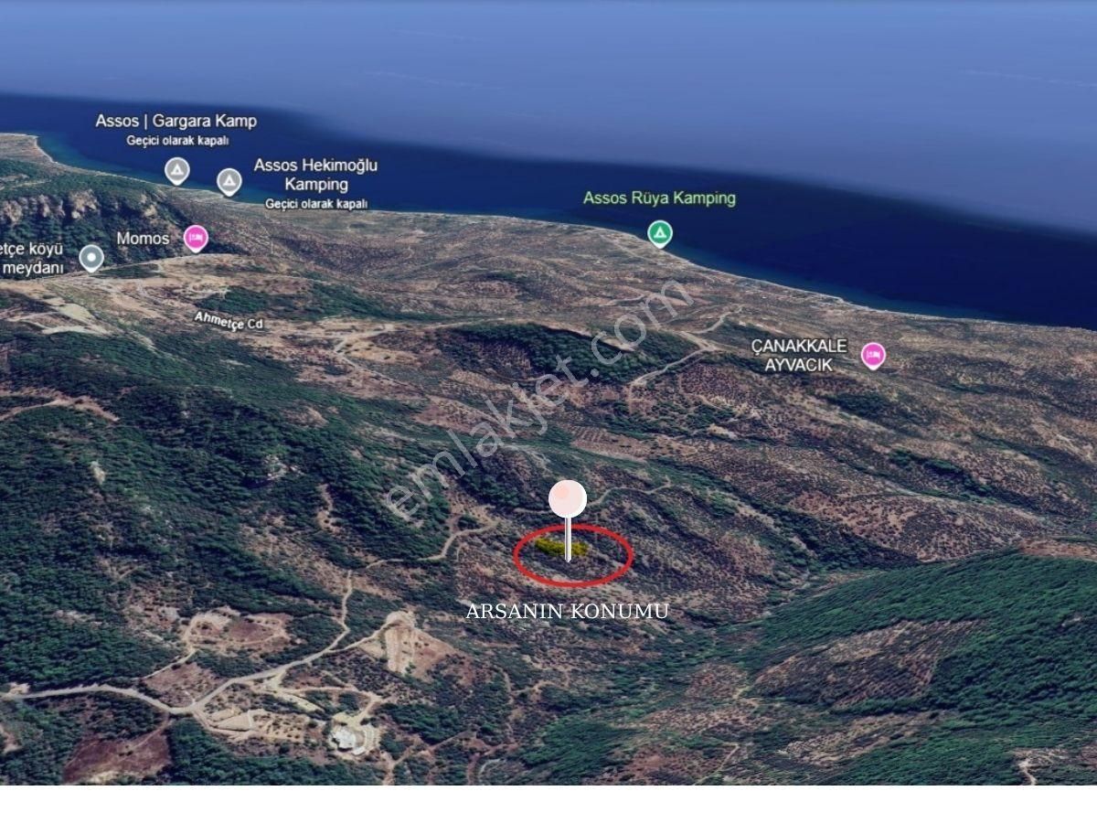 ÇANAKKALE AYVACIK DEMİRCİ’DE 5991 M² MÜSTAKİL TAPULU ZEYTİNLİK 