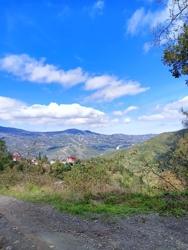 WİSREM'DEN TRABZON ORTAHİSAR'DA YOLU AÇIK SATILIK ARSA