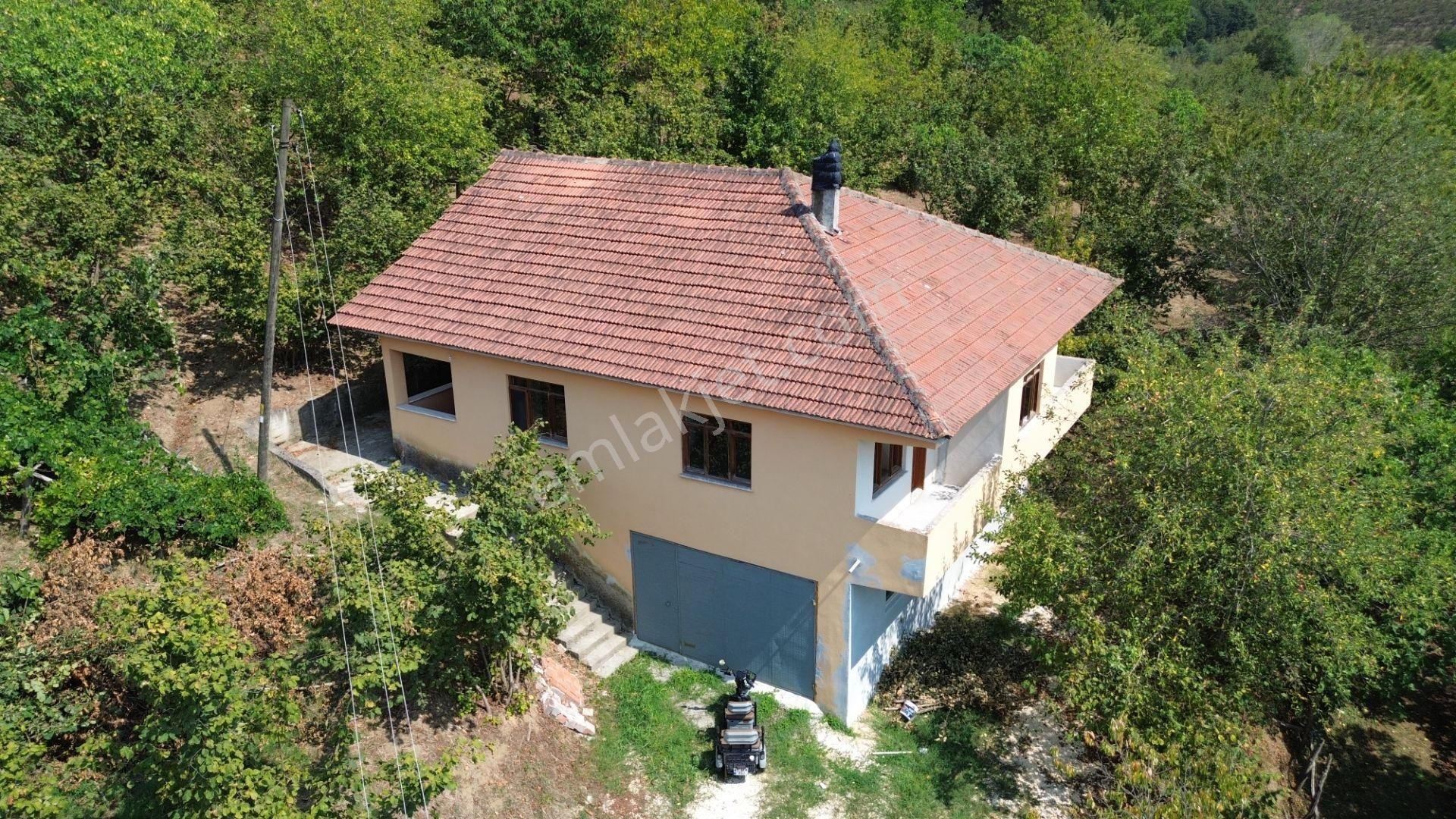  DÜZCE YAYLA KÖYÜNDE 1637m² FINDIKLIK İÇİNDE SATILIK MÜSTAKİL EV!