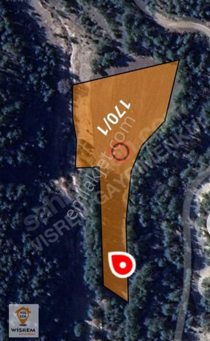 MUDURNU SIRÇALIDA FIRSAT TARLA