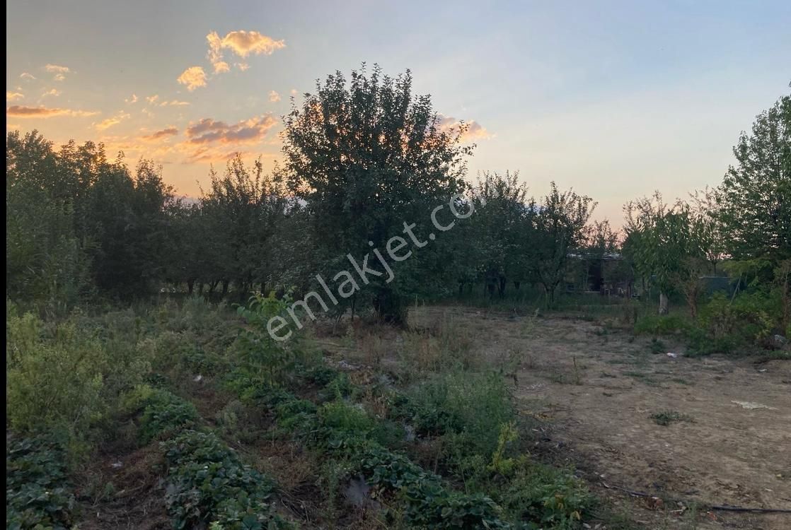 BURSA İNEGÖL KURŞUNLUDA SATILIK TARLA